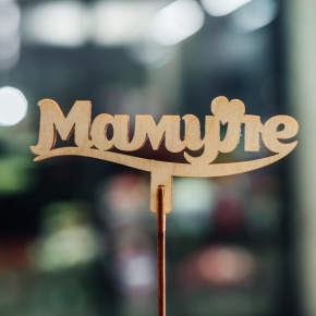 Топпер Мамуле в Электроуглях