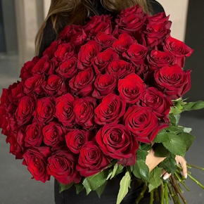 Букет 51 роза Эквадор Эксплорер (60 см) в Электроуглях