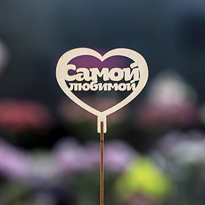 Топпер Самой Любимой в Электроуглях