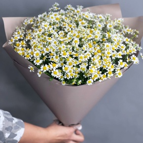 Букет из 17 ромашек танацетум в Электроуглях