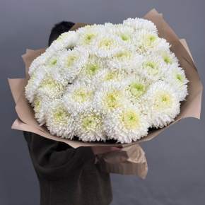 Букет из 27 хризантем Магнум в Электроуглях
