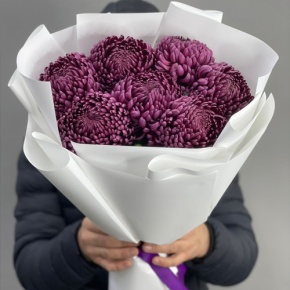 Букет "Винная легенда" из 7 хризантем Бигоуди в Электроуглях