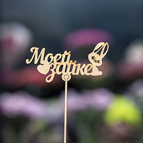 Топпер моей зайке в Электроуглях