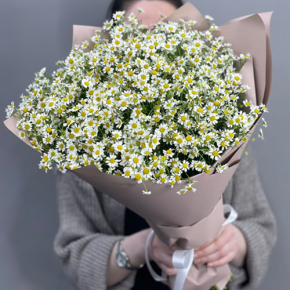 Букет из 17 полевых ромашек в Электроуглях