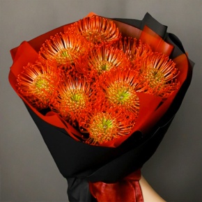 Букет из 9 лейко в Электроуглях