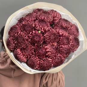 Букет 21 шоколадной хризантемы Бигоуди в Электроуглях