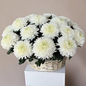 Композиция в корзине из 25 хризантем Магнум в Электроуглях