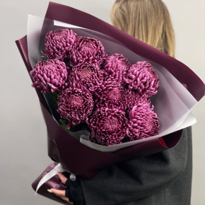 Букет "Изобилие" из 11 винных хризантем Бигоуди в Электроуглях