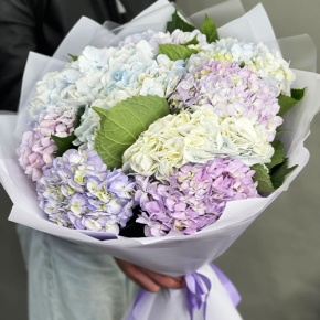 Букет из 9 Голландских гортензий микс в Электроуглях