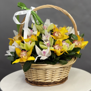 Композиция в корзине из 25 орхидей микс в Электроуглях