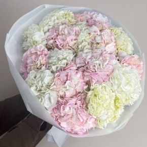 Букет из 17 нежных гортензий в Электроуглях