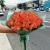 Букет из 51 мандариновой розы (40 см) в Электроуглях Букет из 51 мандариновой розы (40 см) в Электроуглях