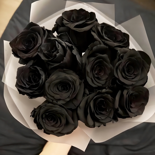 Букет "Черная королева" из 11 черных роз Эквадор (60 см) в Электроуглях