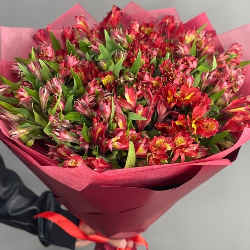 Монобукет из 25 красных альстромерий в Электроуглях
