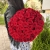 Букет 51 красной розы 50 см в Электроуглях Букет 51 красной розы 50 см в Электроуглях