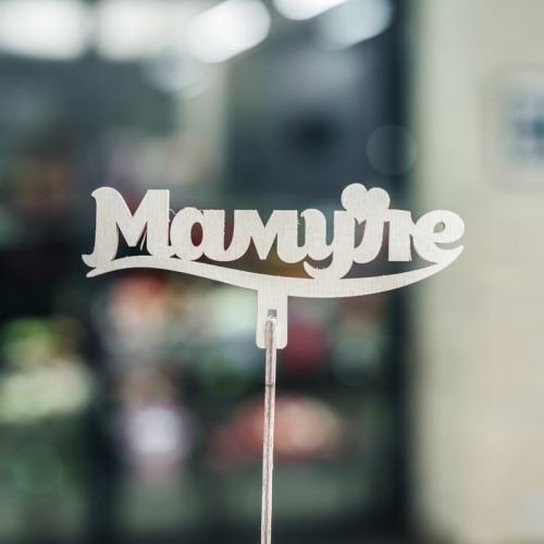 Топпер Мамуле в Электроуглях