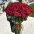 Букет из 101 красной розы (90 см) в Электроуглях Букет из 101 красной розы (90 см) в Электроуглях