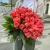 Букет 51 роза коралл (60 см) в Электроуглях Букет 51 роза коралл (60 см) в Электроуглях