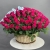 Композиция в корзине из 151 малиновой розы в Электроуглях Композиция в корзине из 151 малиновой розы в Электроуглях