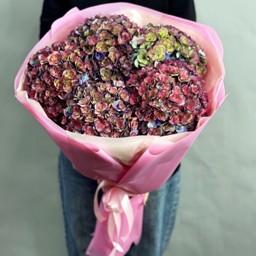 Букет из 5 космических Голландских гортензий в Электроуглях