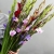 Букет из 25 гладиолусов микс в Электроуглях