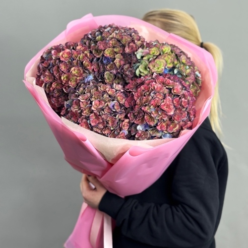 Букет из 5 космических Голландских гортензий в Электроуглях